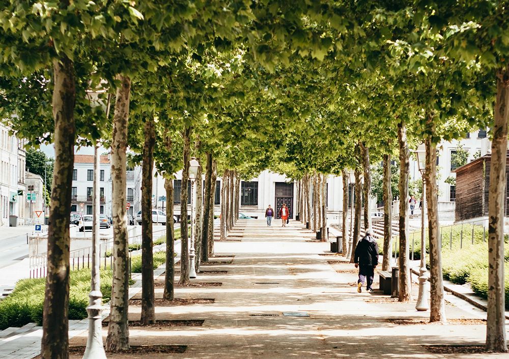 Sidewalk Installation finished slab in SPRING BRANCH, TX